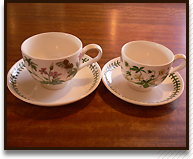 �g�����X�@�A�t�^�k�[���e�B�[�@�k�R�g����